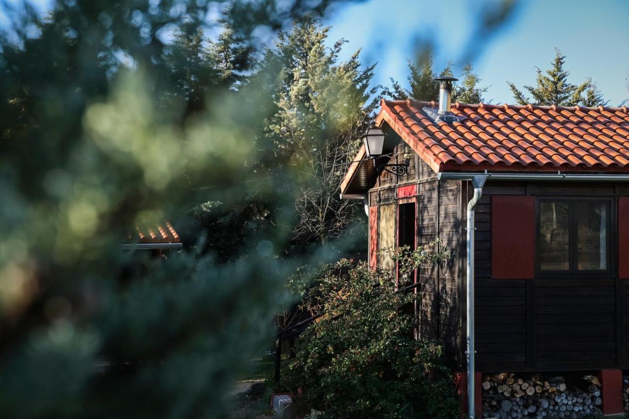 Casa Rural La Canadiense Log Cabin Guest House Buenache de la Sierra Exterior photo